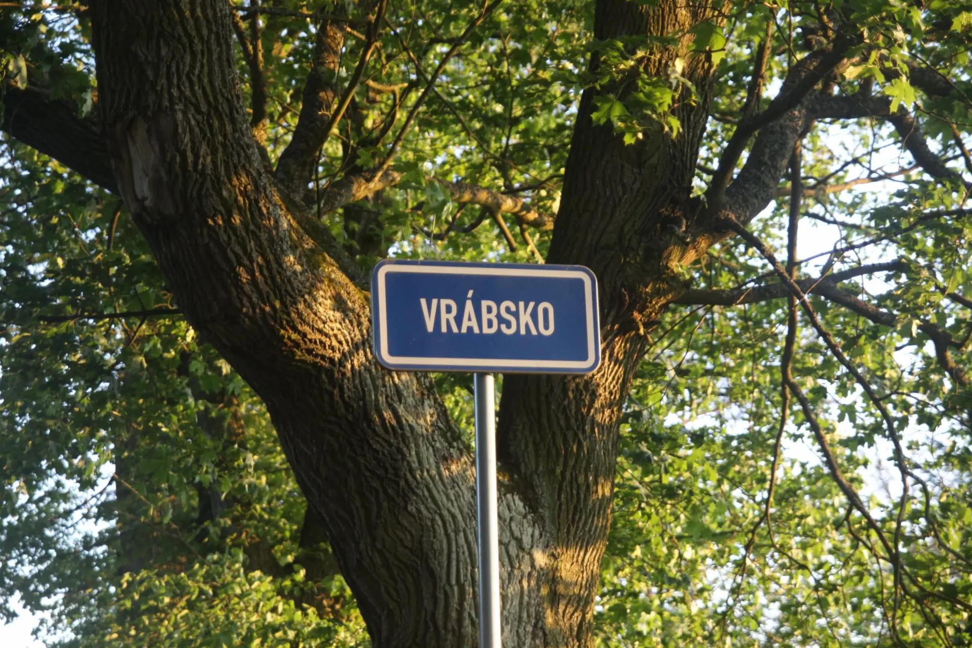 img-0049.jpg